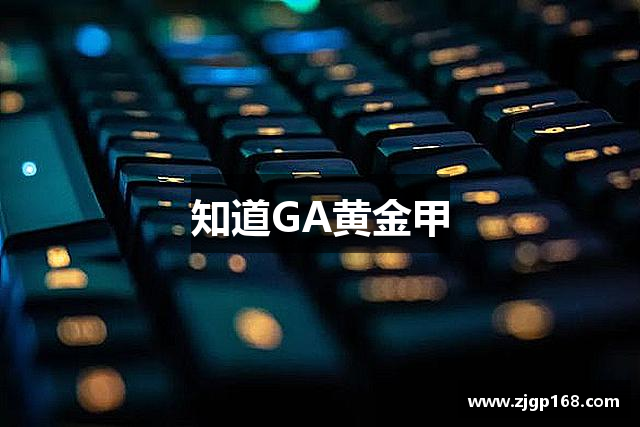 知道GA黄金甲